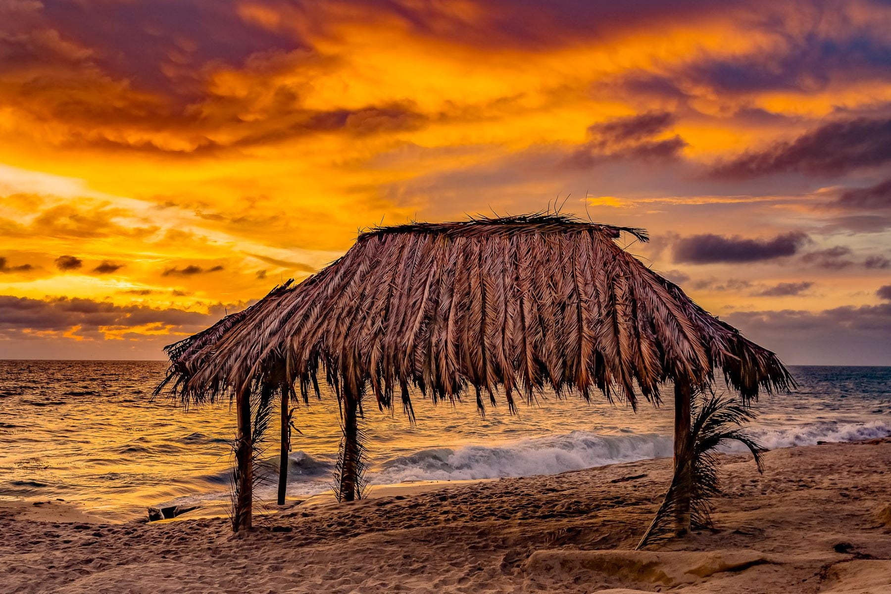 Famous Windansea surf shack in La Jolla ,California. The sky gloaming with orange twilight with the waves crashing on the shore line.  La Jolla Soap Company's Logo